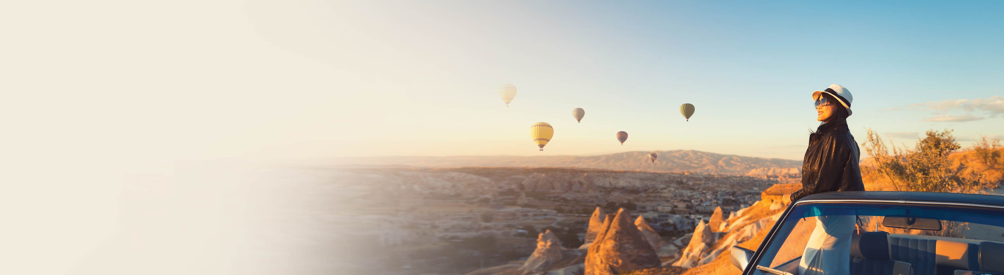 TokioMarine-iRich Premier / TokioMarine-iRich